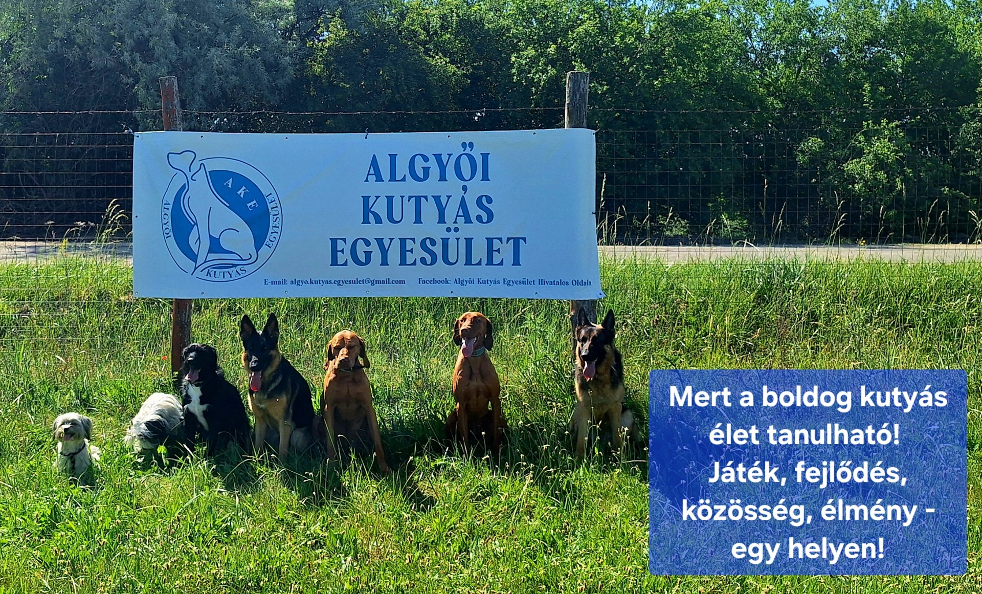 Klub foglalkozás az Algyői Kutyás Egyesület tanpályáján